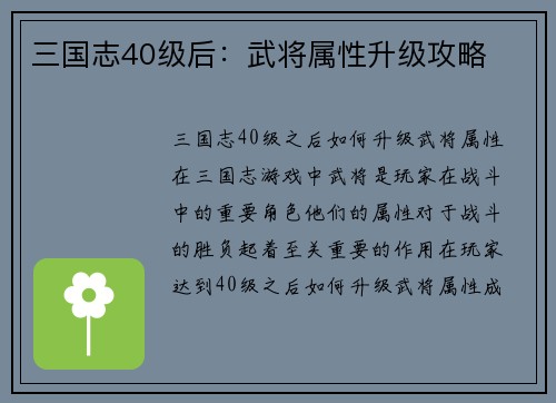 三国志40级后：武将属性升级攻略